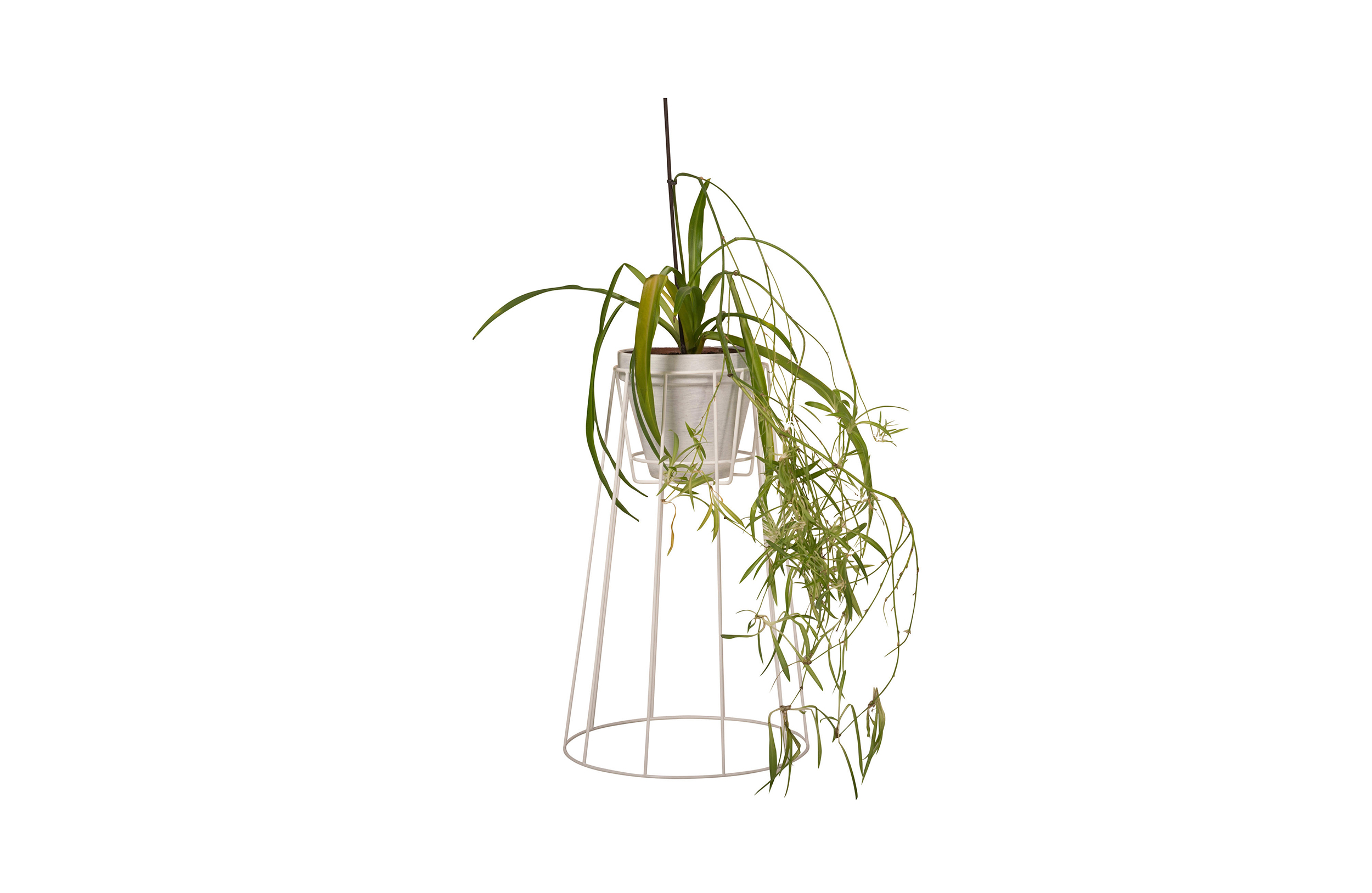 创意家具 - 附件|花器|办公家具|球友会（中国）家具|西布莉植物架