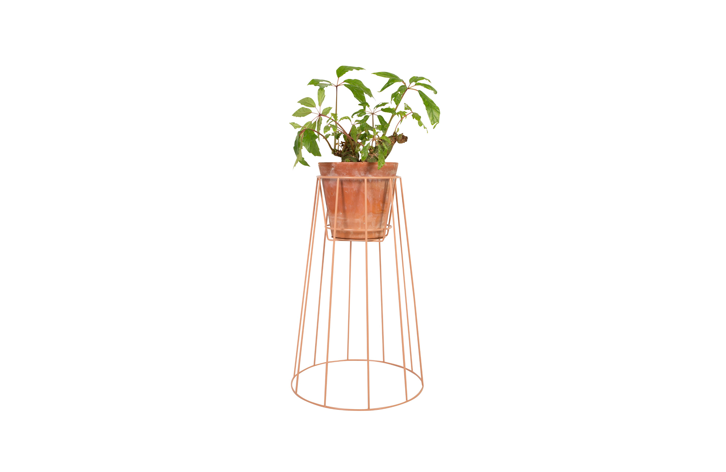 创意家具 - 附件|花器|办公家具|球友会（中国）家具|西布莉植物架