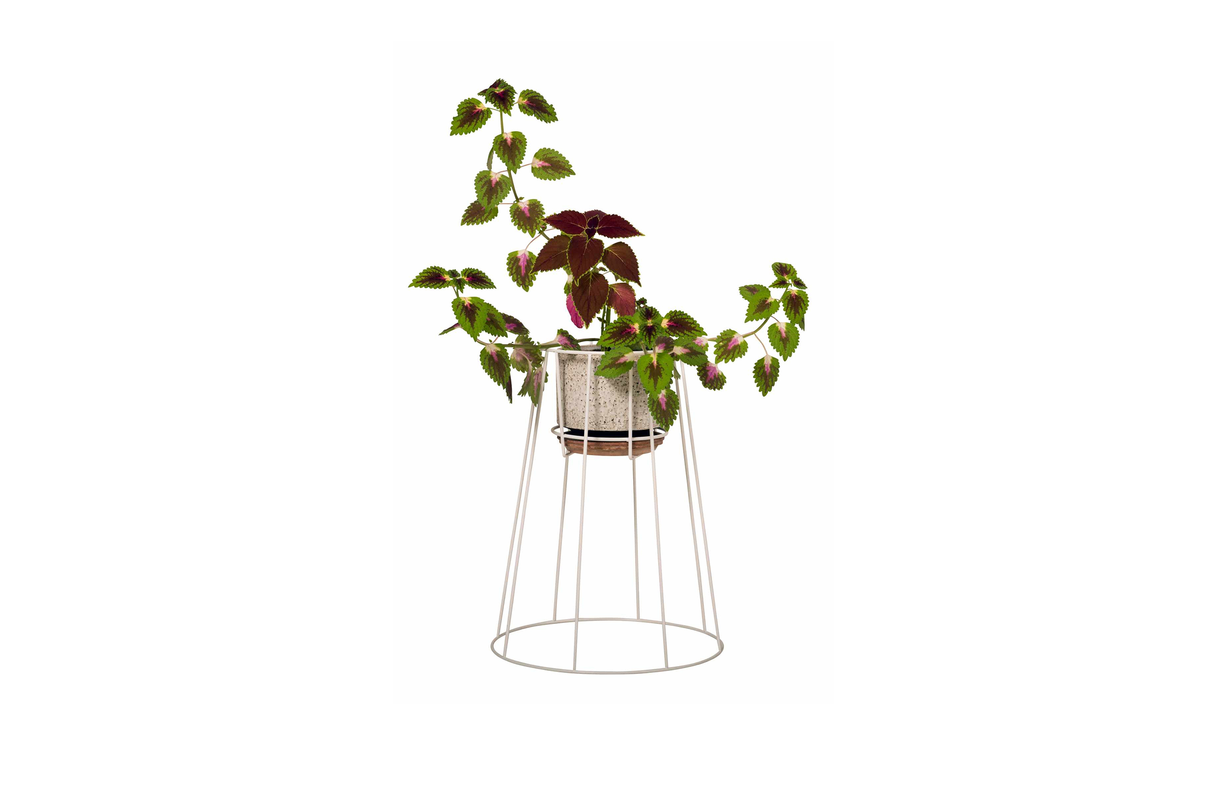 创意家具 - 附件|花器|办公家具|球友会（中国）家具|西布莉植物架