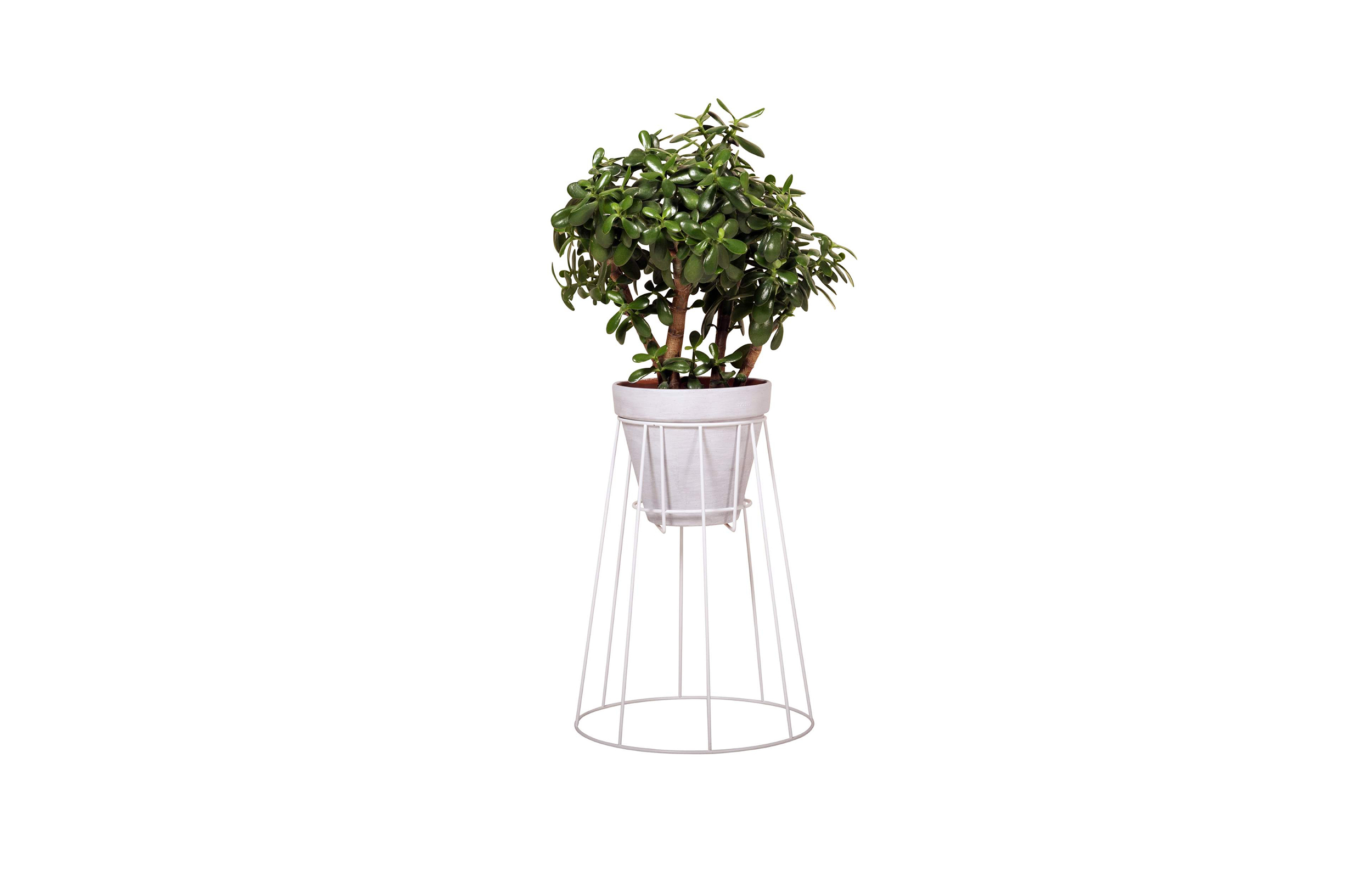 创意家具 - 附件|花器|办公家具|球友会（中国）家具|西布莉植物架