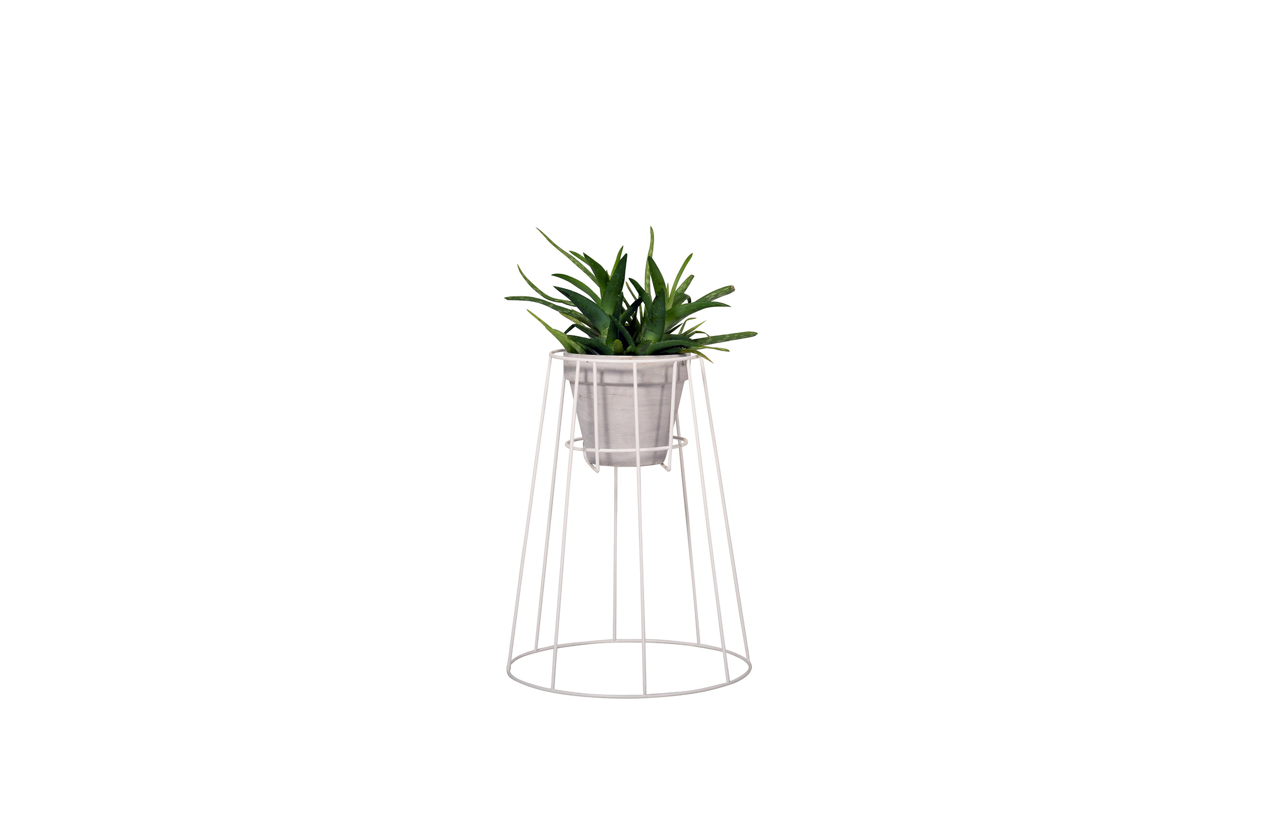 创意家具 - 附件|花器|办公家具|球友会（中国）家具|西布莉植物架
