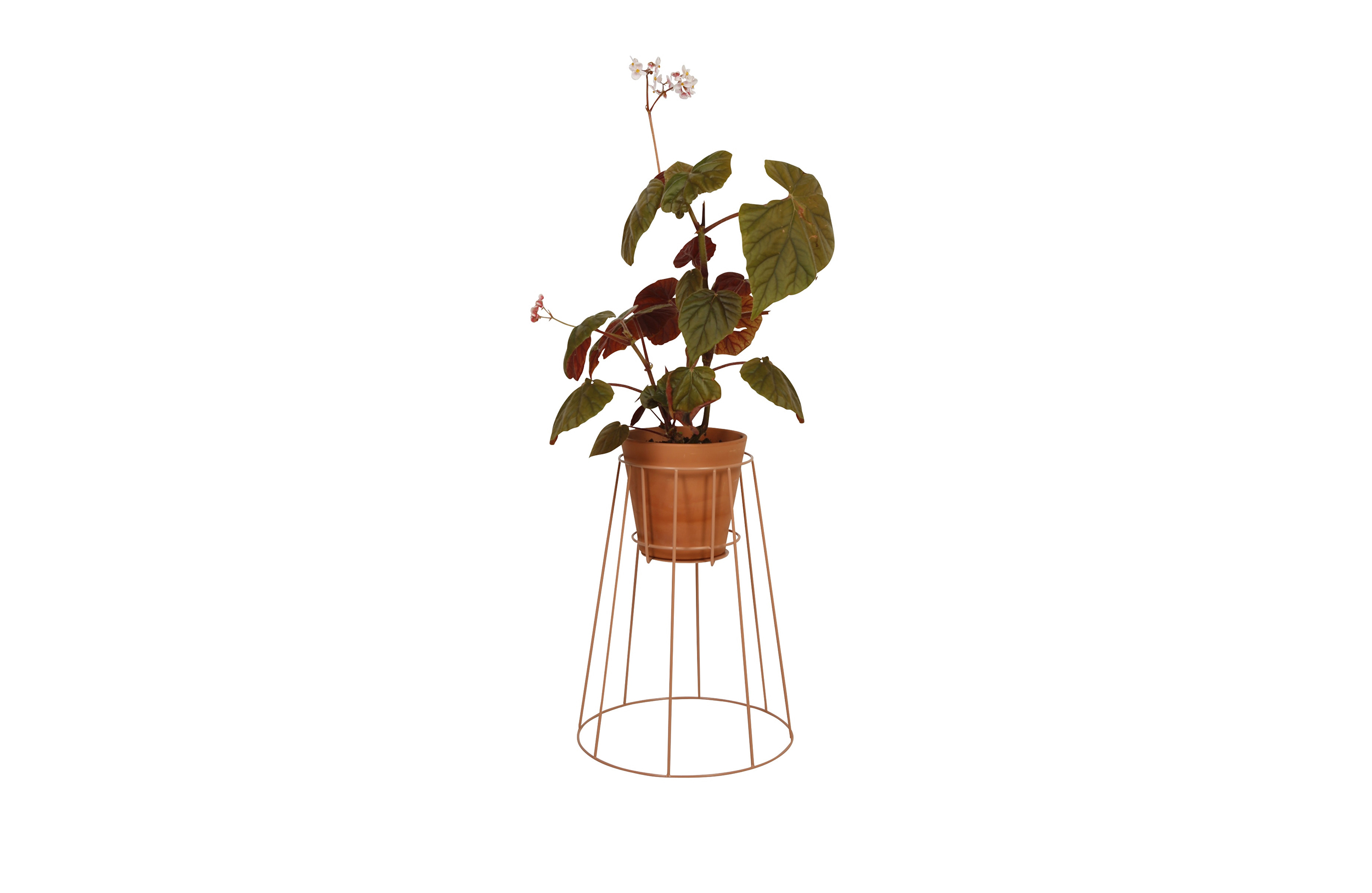 创意家具 - 附件|花器|办公家具|球友会（中国）家具|西布莉植物架