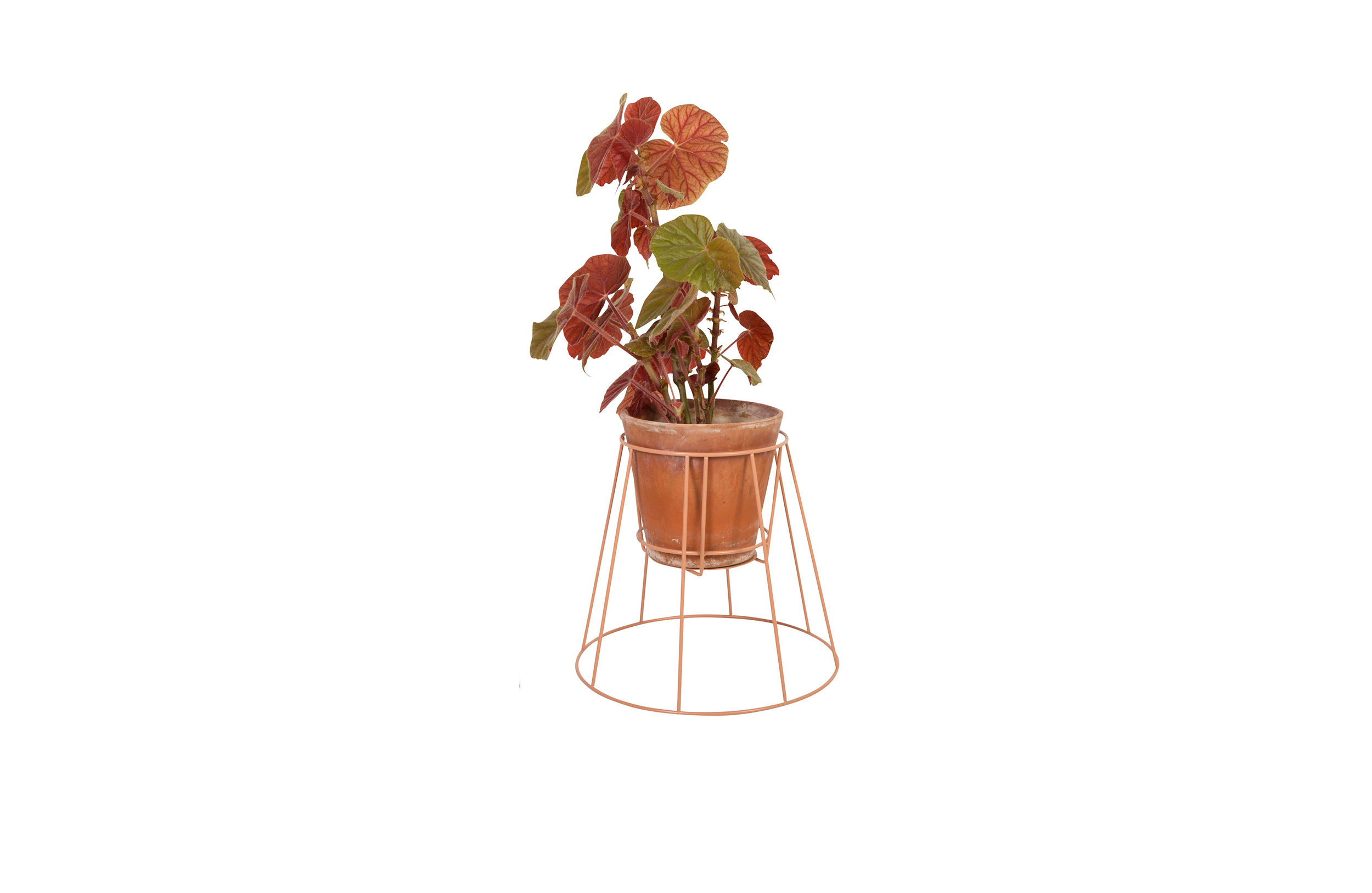 创意家具 - 附件|花器|办公家具|球友会（中国）家具|西布莉植物架