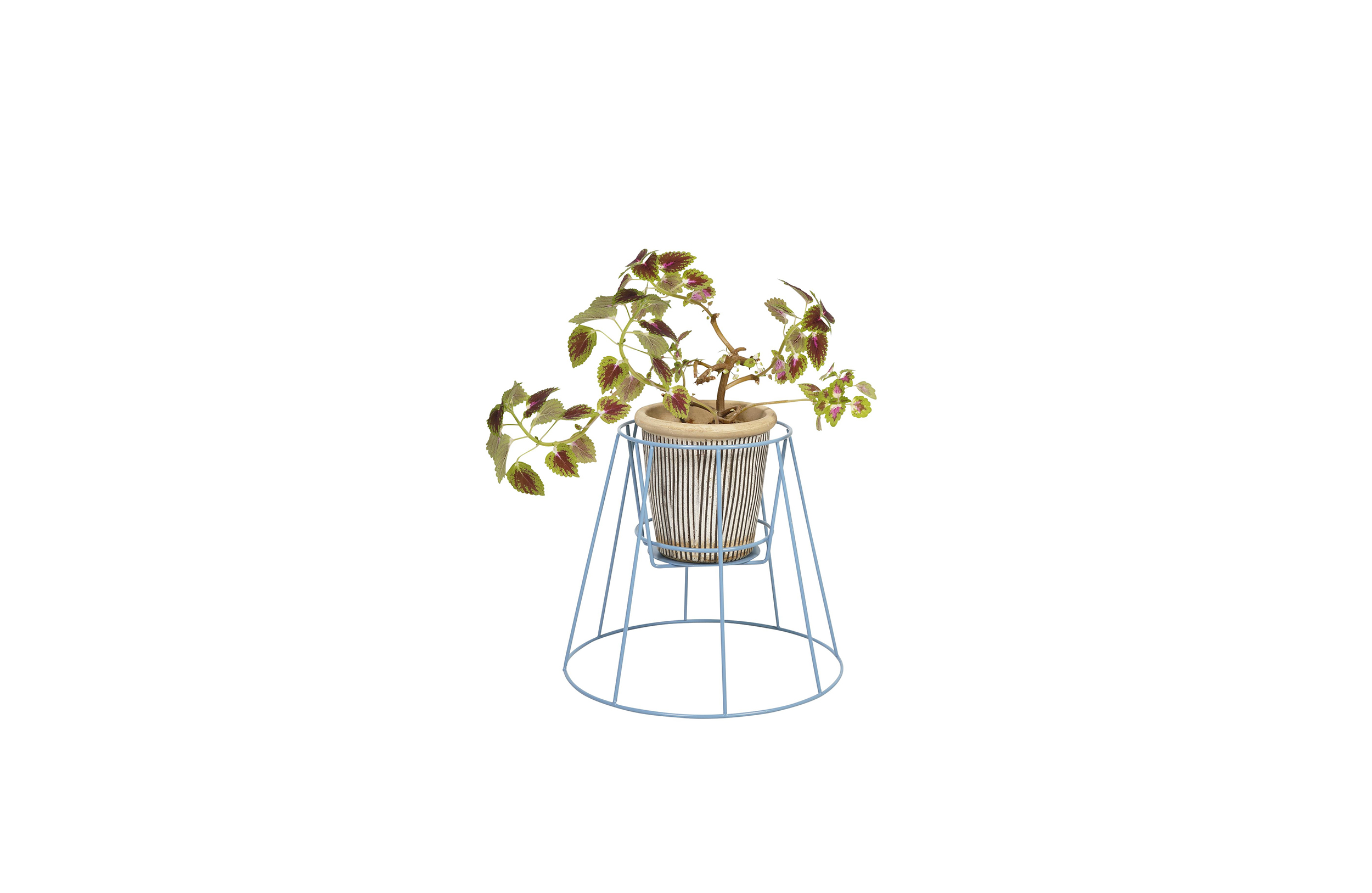 创意家具 - 附件|花器|办公家具|球友会（中国）家具|西布莉植物架