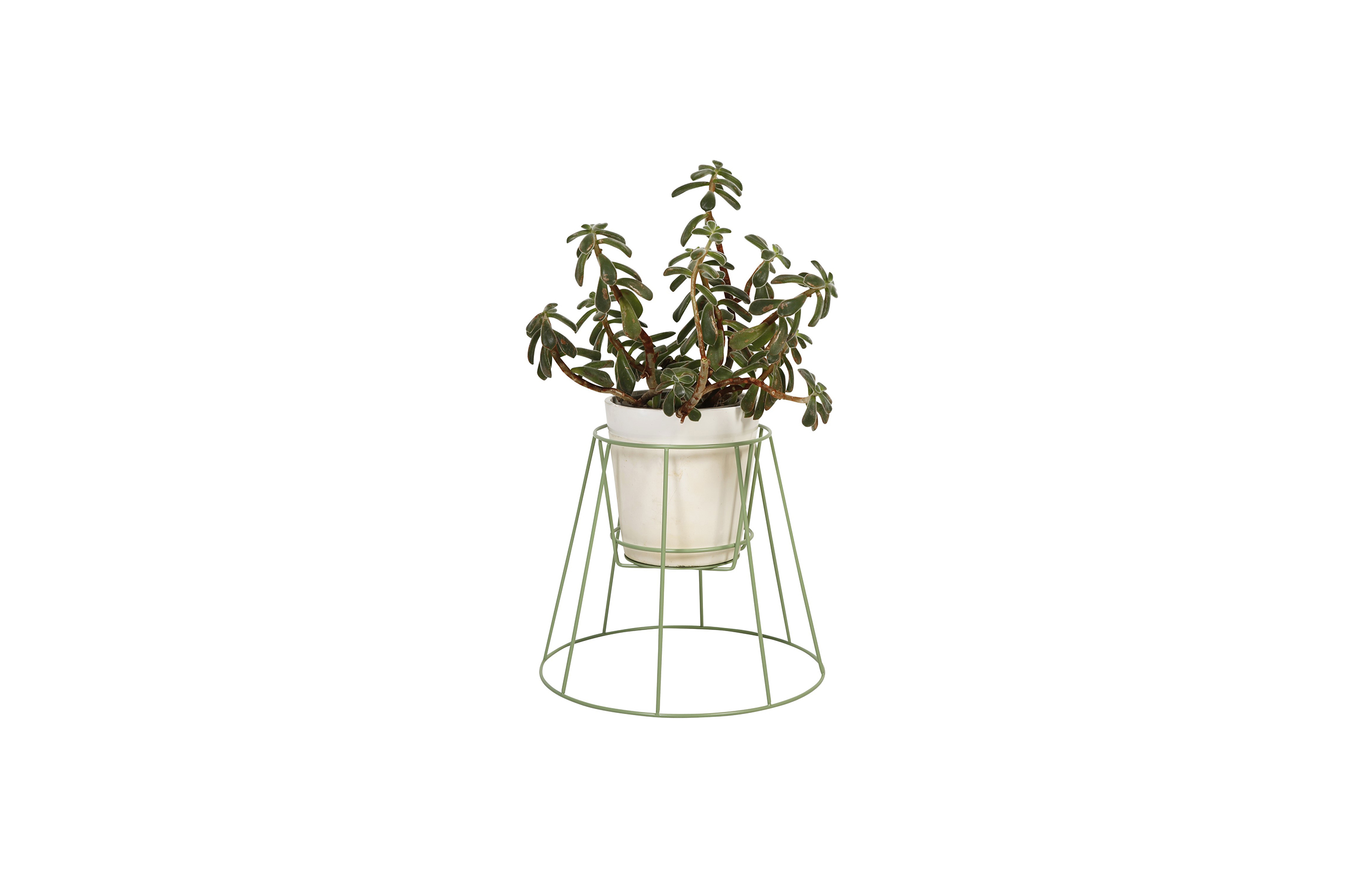 创意家具 - 附件|花器|办公家具|球友会（中国）家具|西布莉植物架