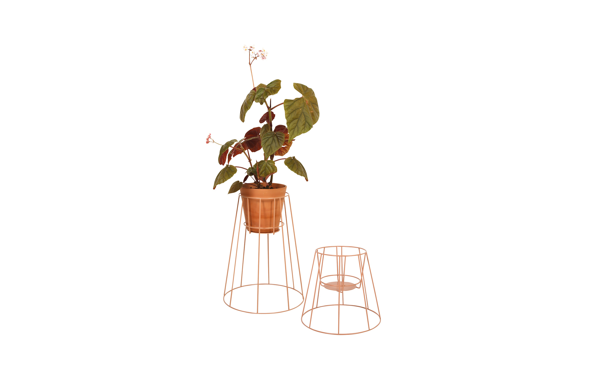 创意家具 - 附件|花器|办公家具|球友会（中国）家具|西布莉植物架