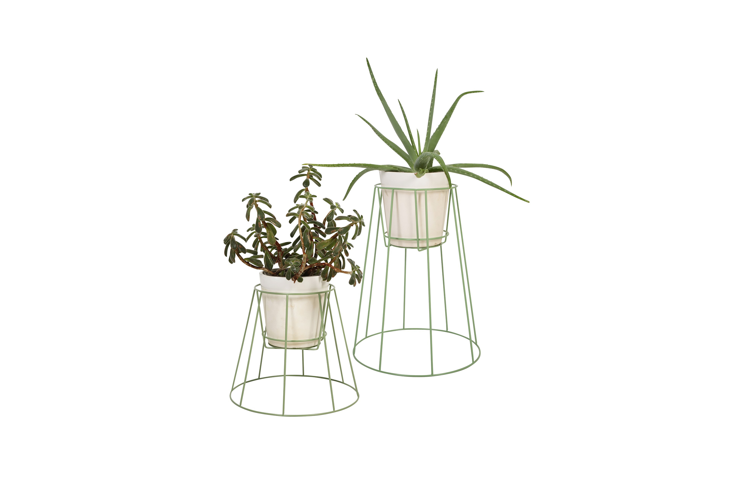 创意家具 - 附件|花器|办公家具|球友会（中国）家具|西布莉植物架
