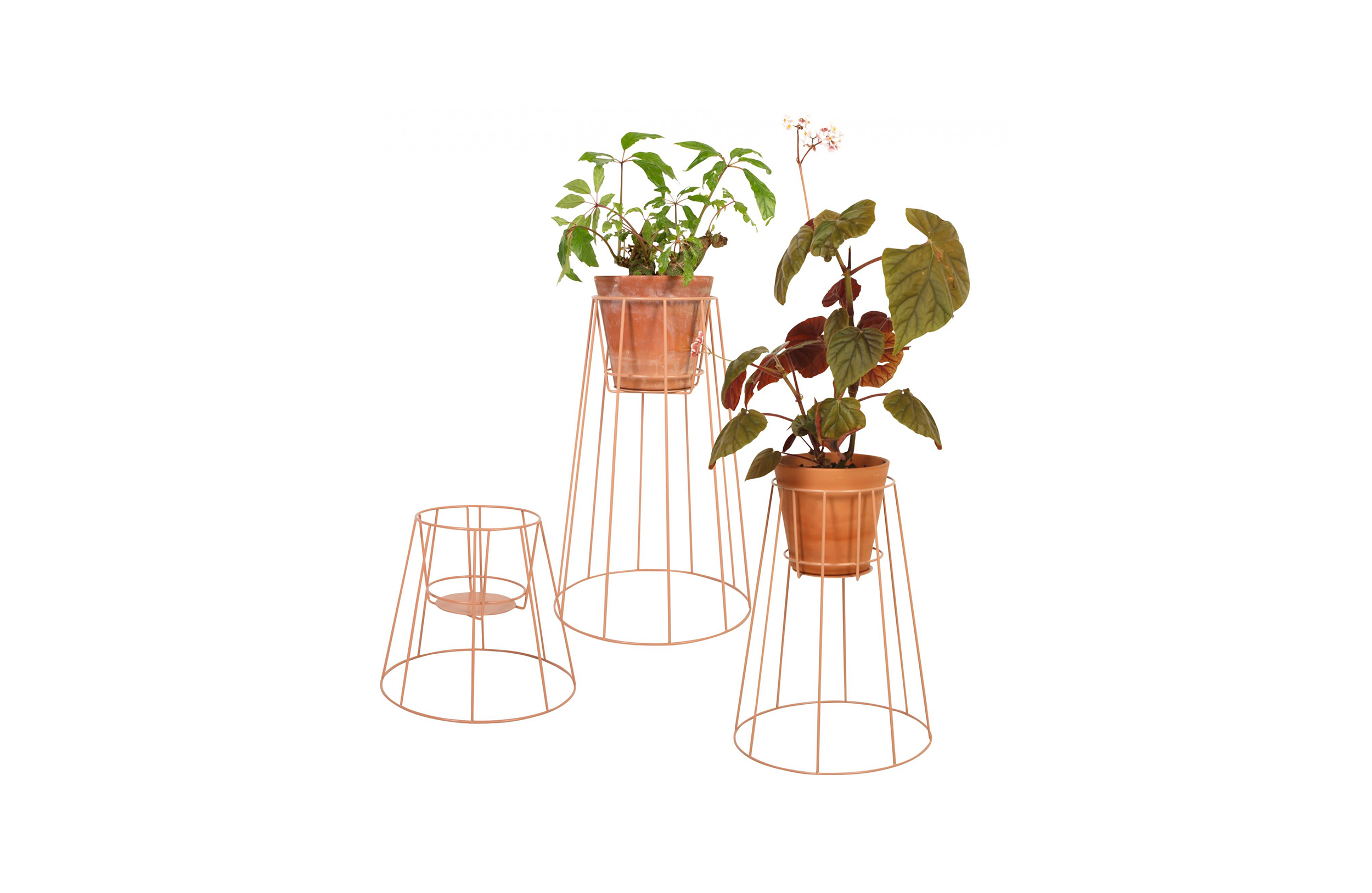 创意家具 - 附件|花器|办公家具|球友会（中国）家具|西布莉植物架