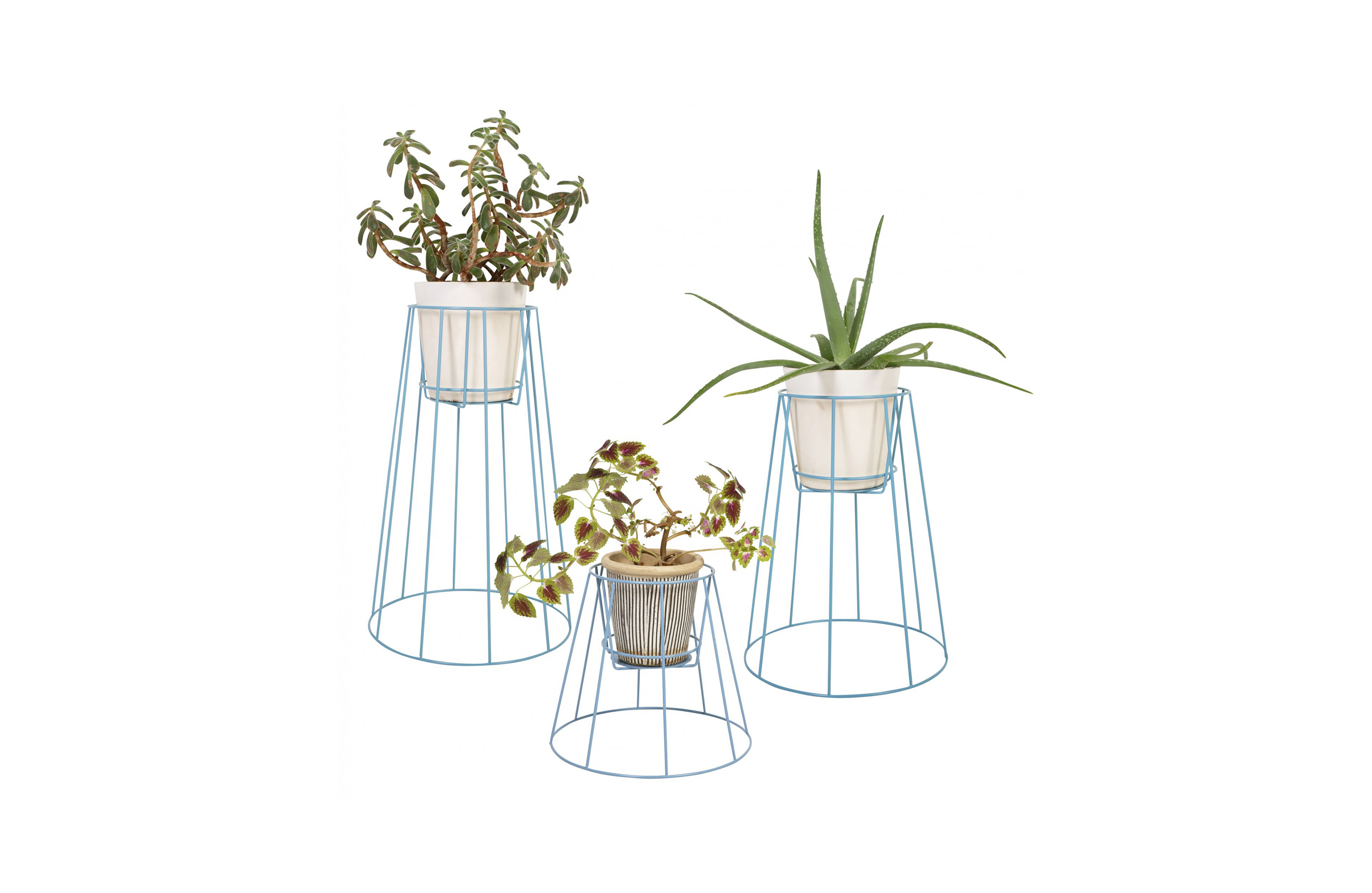 创意家具 - 附件|花器|办公家具|球友会（中国）家具|西布莉植物架