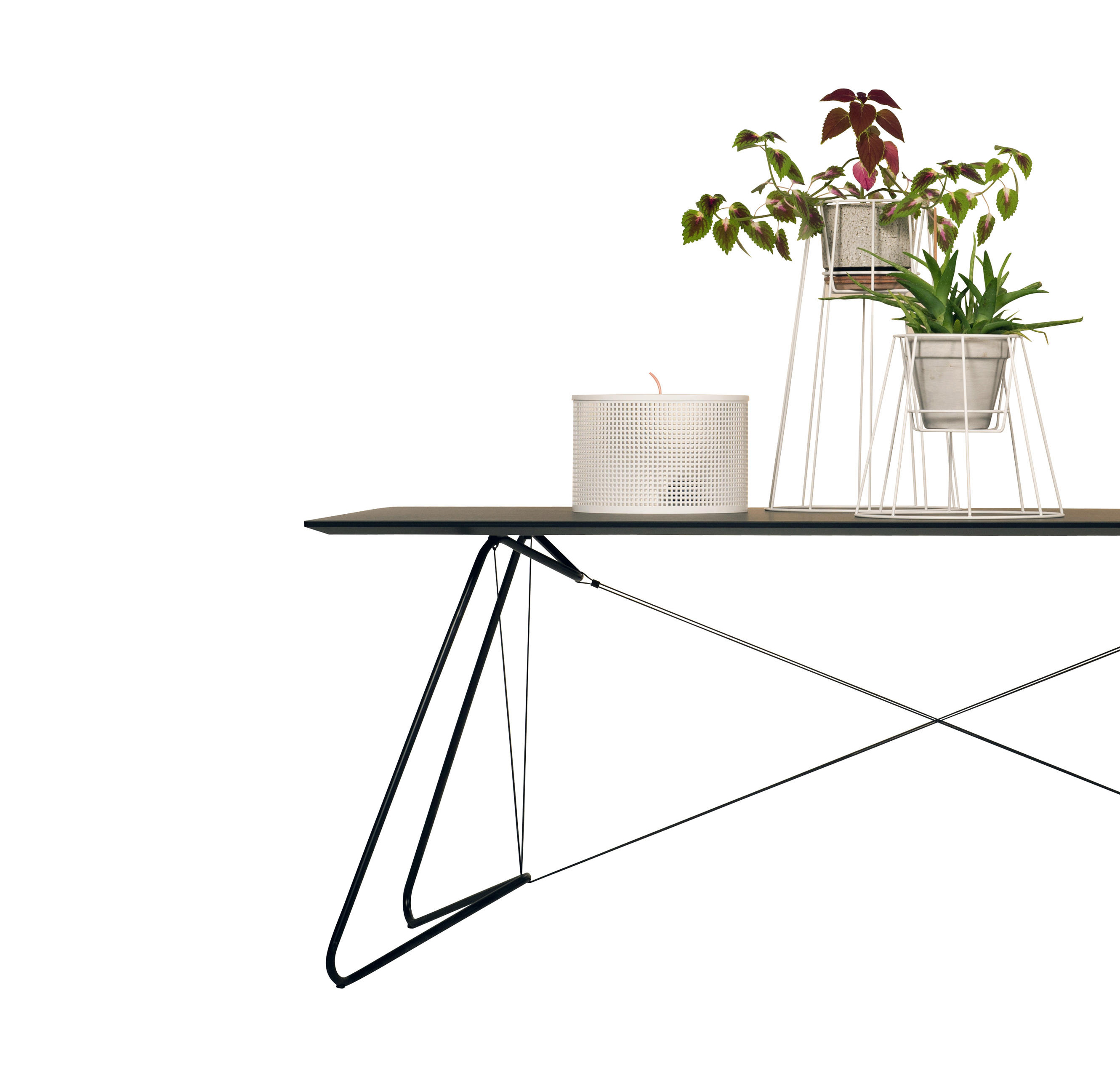 创意家具 - 附件|花器|办公家具|球友会（中国）家具|西布莉植物架