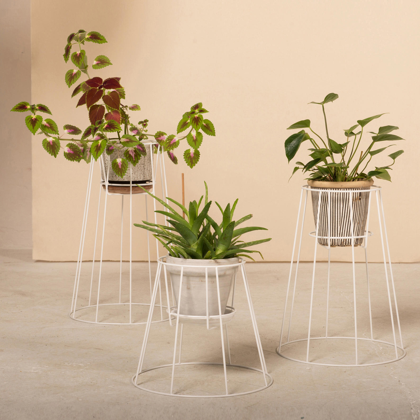 创意家具 - 附件|花器|办公家具|球友会（中国）家具|西布莉植物架