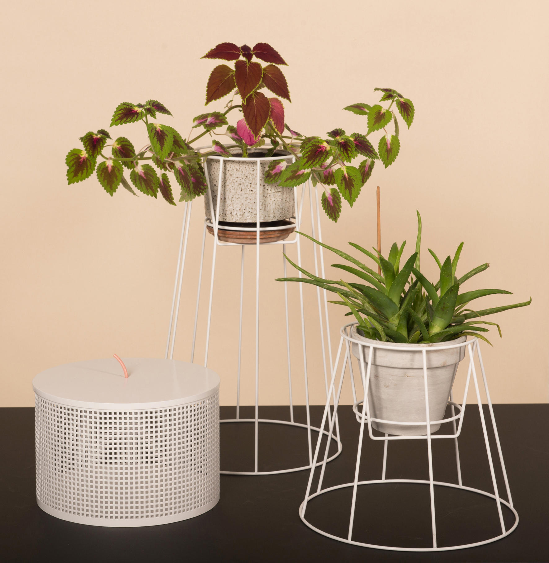 创意家具 - 附件|花器|办公家具|球友会（中国）家具|西布莉植物架