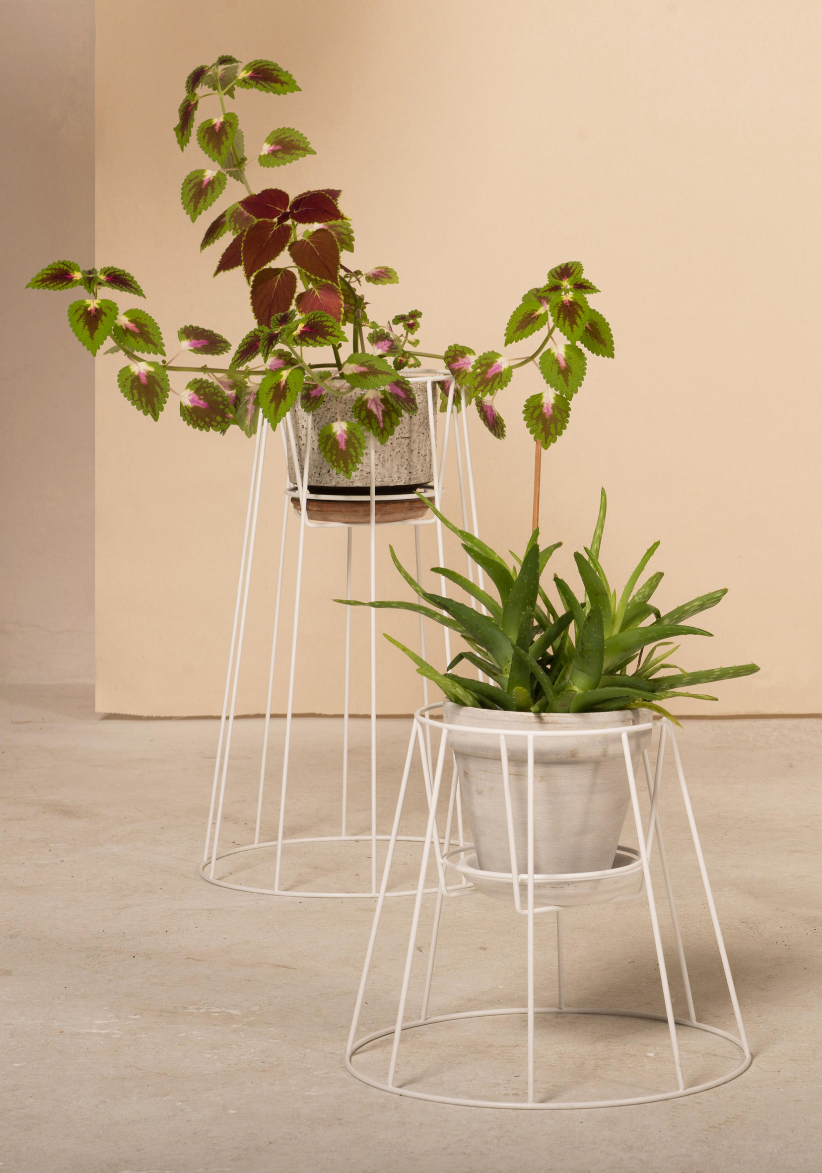 创意家具 - 附件|花器|办公家具|球友会（中国）家具|西布莉植物架