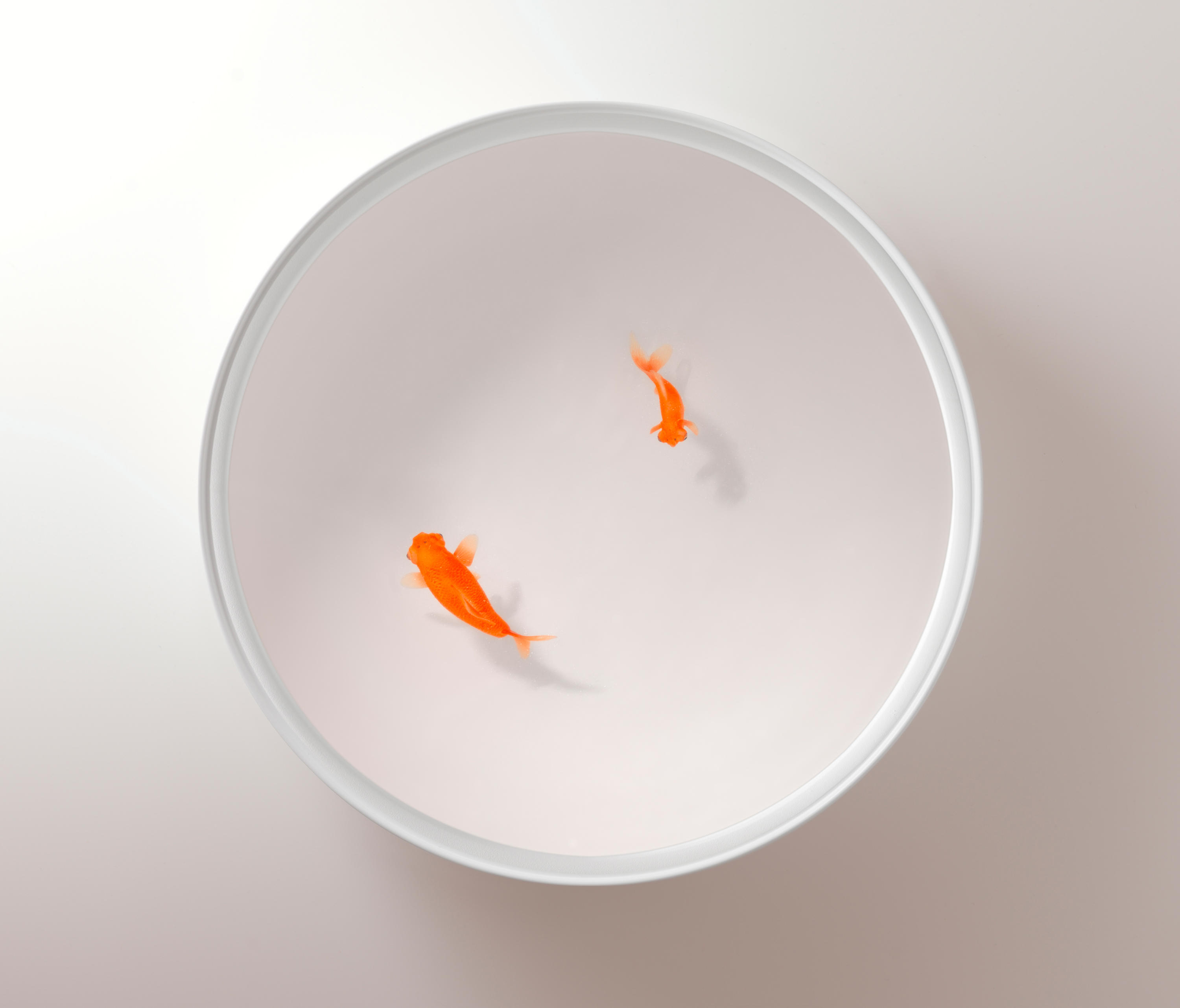 创意家具 - 桌几|茶几/边几|办公家具|球友会（中国）家具|Up in the Air 茶几/角几