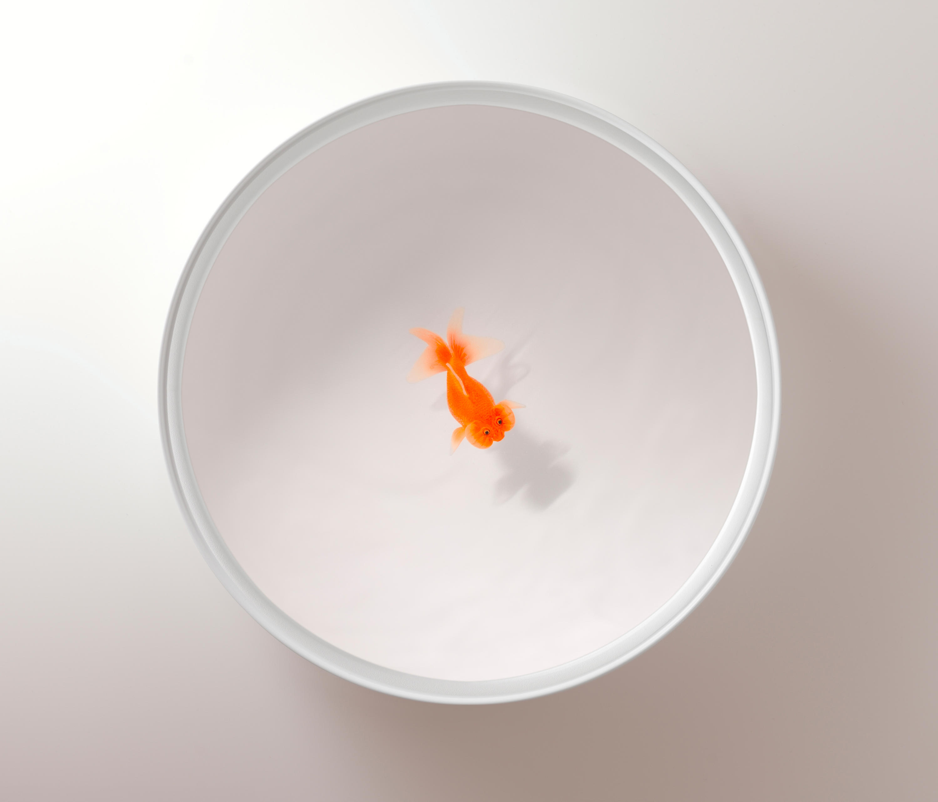 创意家具 - 桌几|茶几/边几|办公家具|球友会（中国）家具|Up in the Air 茶几/角几