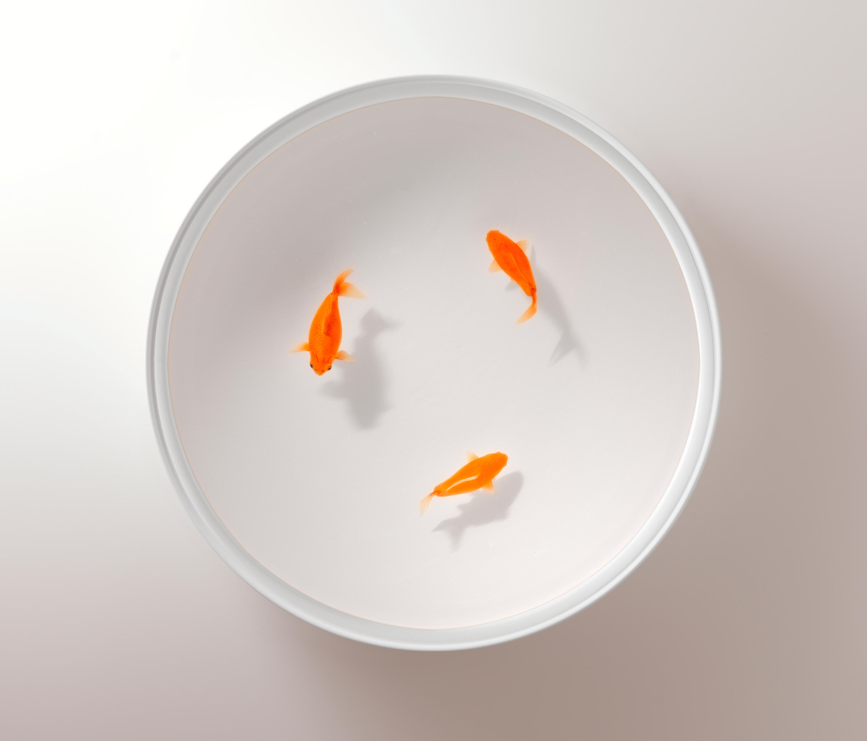 创意家具 - 桌几|茶几/边几|办公家具|球友会（中国）家具|Up in the Air 茶几/角几