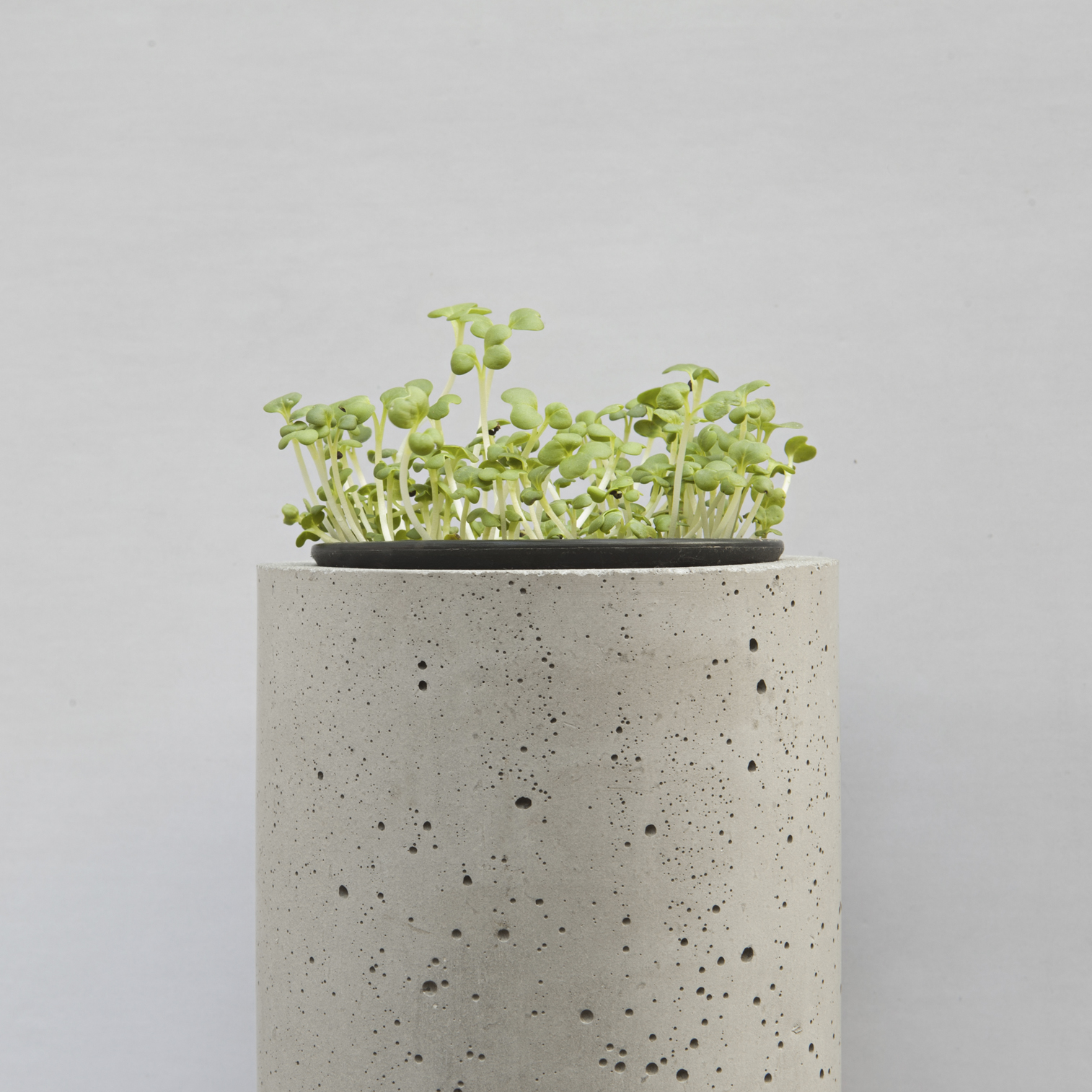 创意家具 - 附件|花器|办公家具|球友会（中国）家具|挂墙式花钵-杯