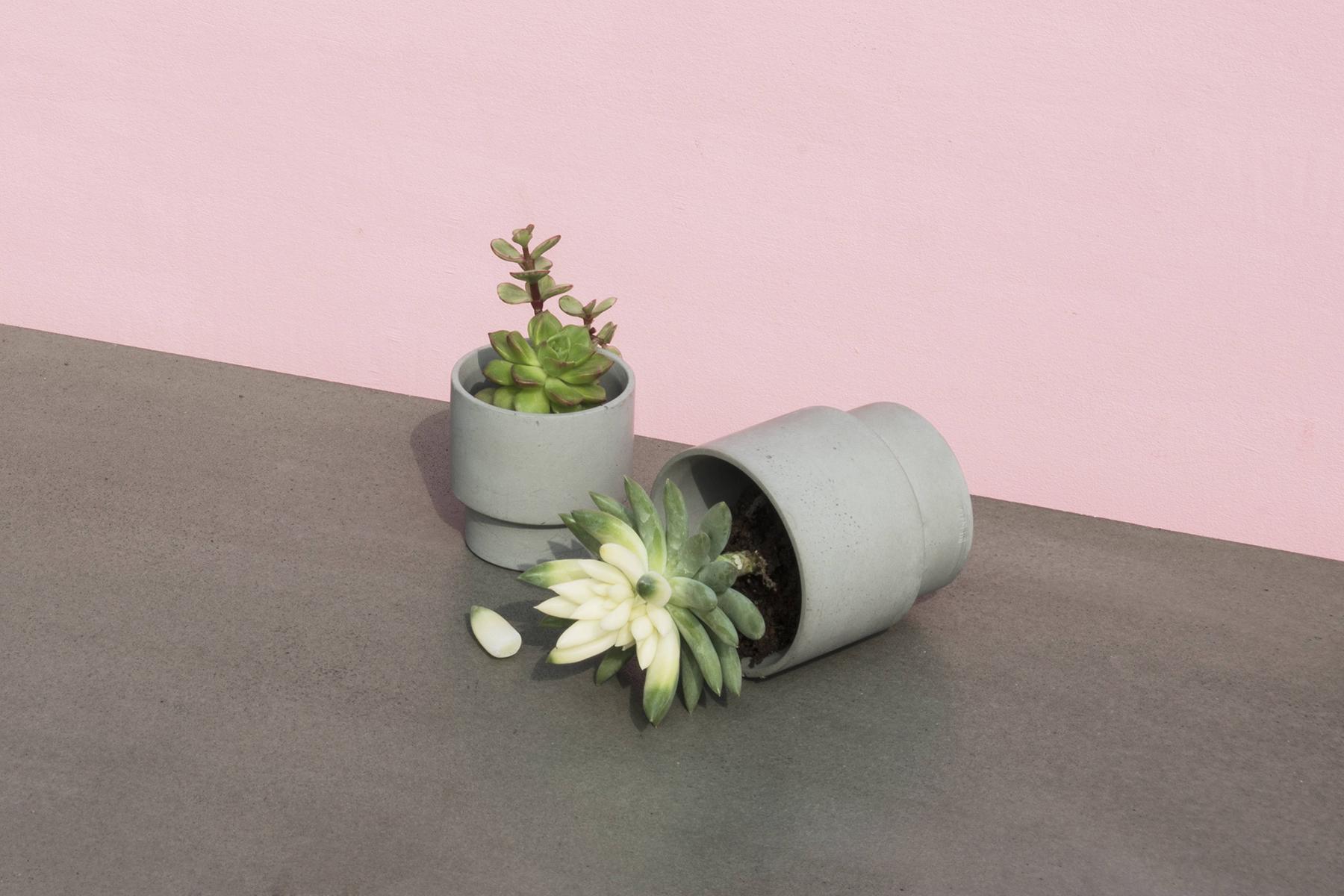 创意家具 - 附件|花器|办公家具|球友会（中国）家具|花钵/蜡烛台-息