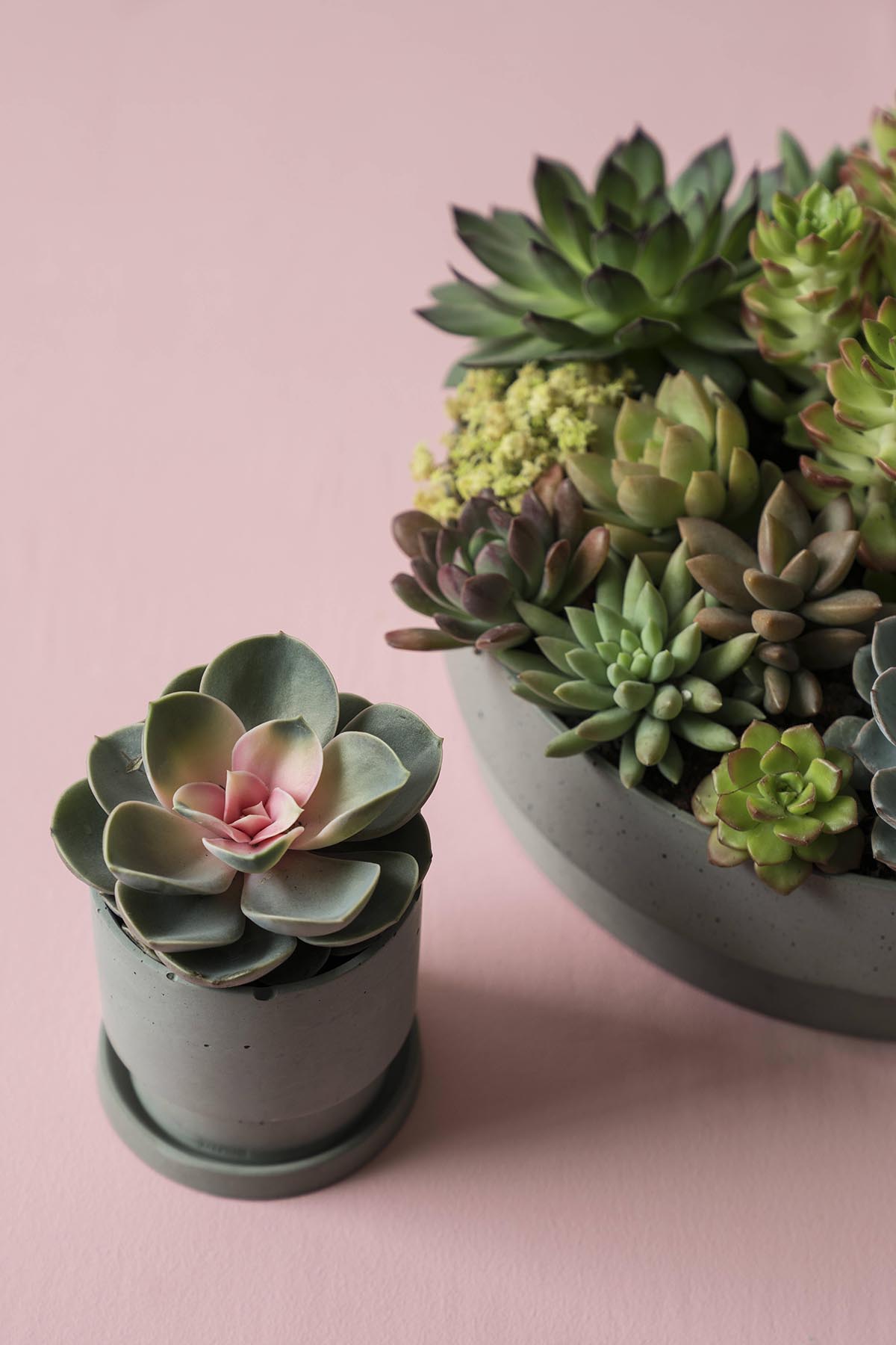 创意家具 - 附件|花器|办公家具|球友会（中国）家具|花钵/蜡烛台-息