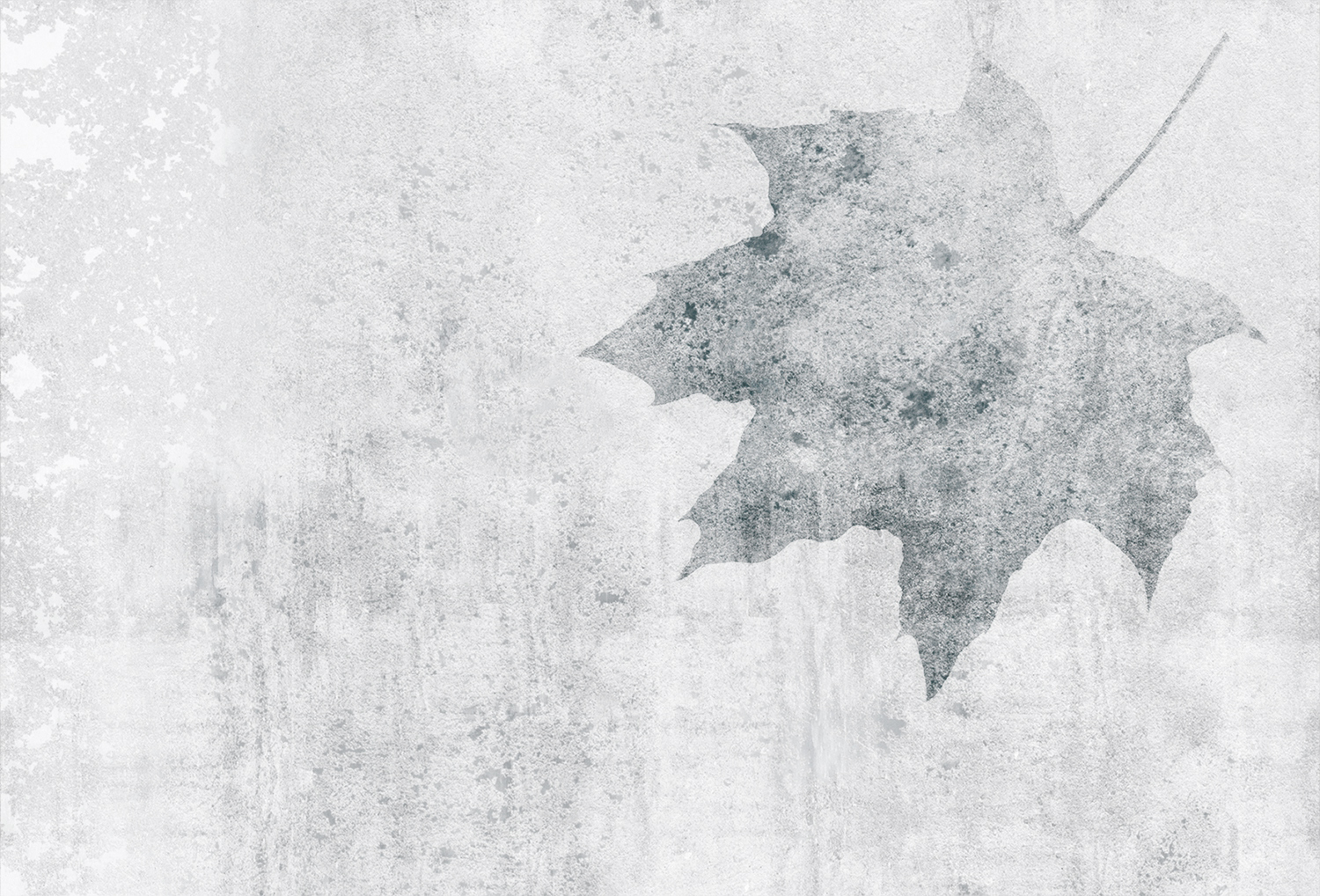 [创意家具 - 附件|装饰画/墙饰|办公家具|球友会（中国）家具|枫叶-原创定制壁画]