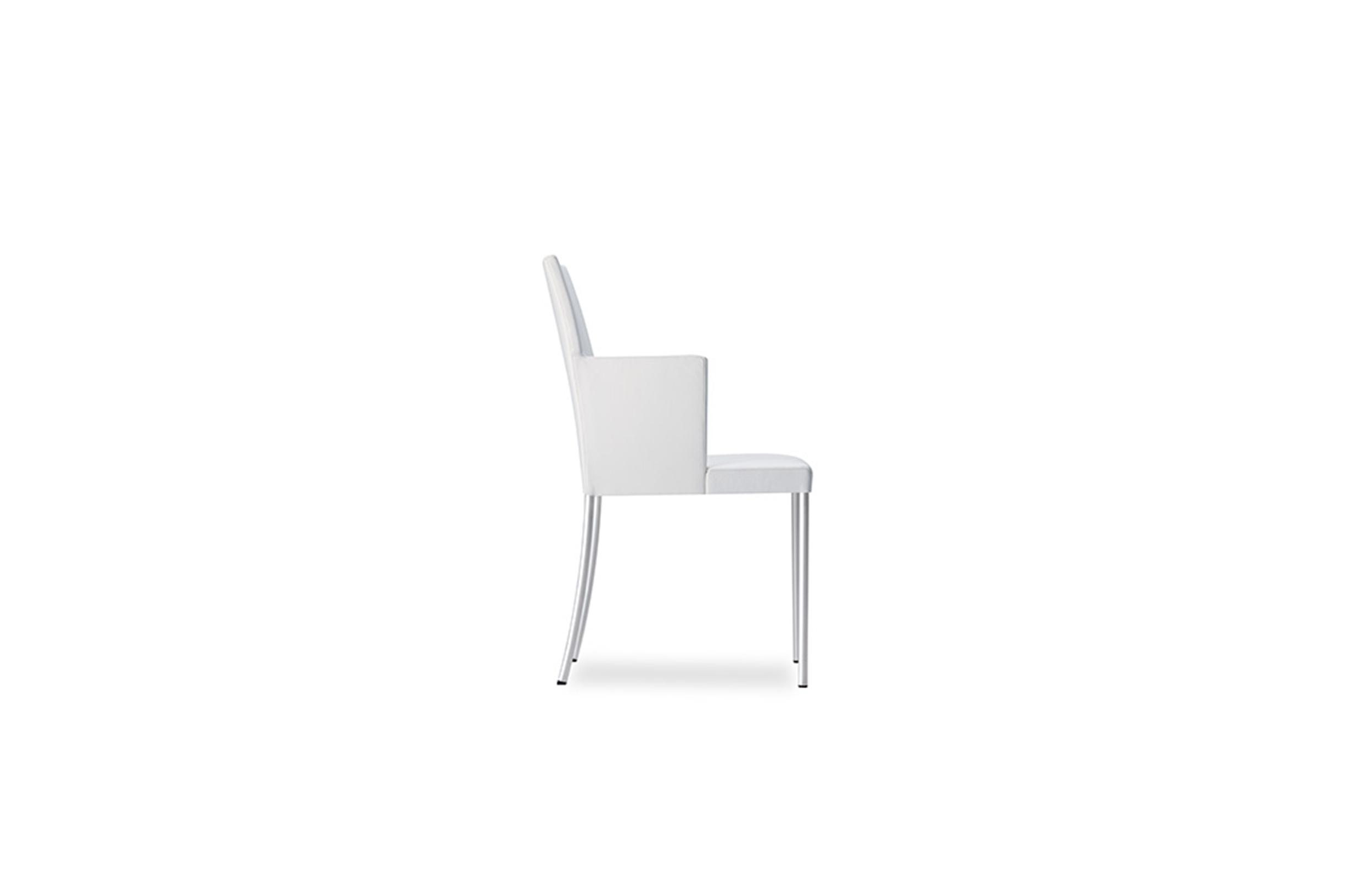 创意家具 - 坐具|餐椅|办公家具|球友会（中国）家具|JASON LITE餐椅