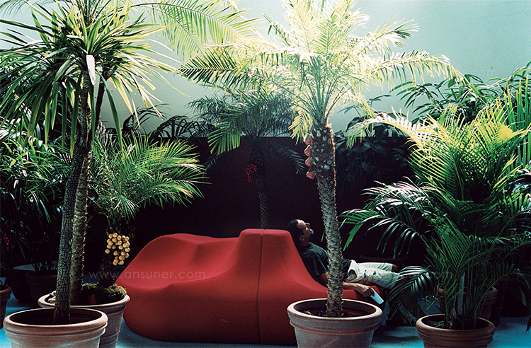K1167_15.jpg