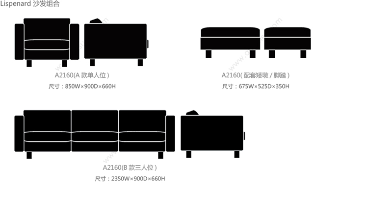 A2160_27.jpg